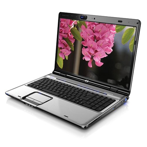 dv9810us coprocessor