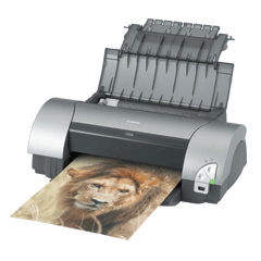 canon i9900 special